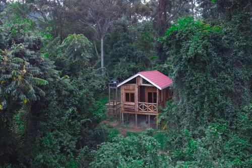 Kabale Hotel | Supreme Adventure Park Bunyonyi