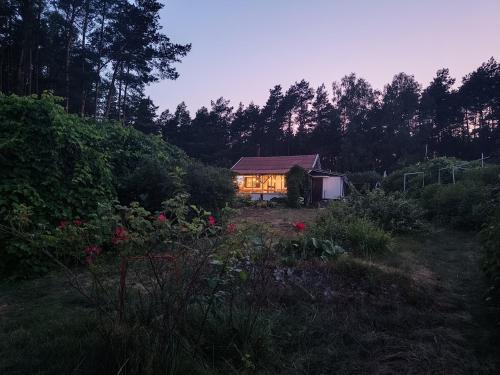 gmina Osiek House | SUPy, Krokodyl & Las