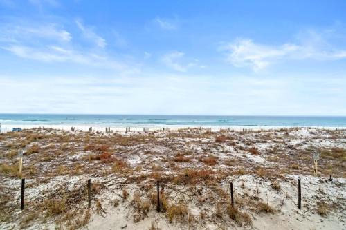 Wasco House | Surf Dweller 210 - Surf Buggy
