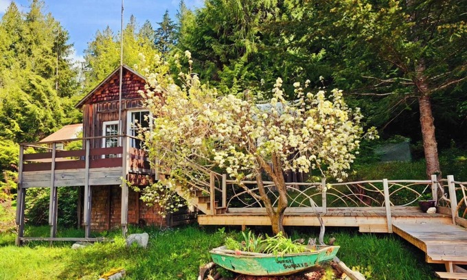 Read Island House | Surge Sunsets - an ocean front off-the-grid getaway!