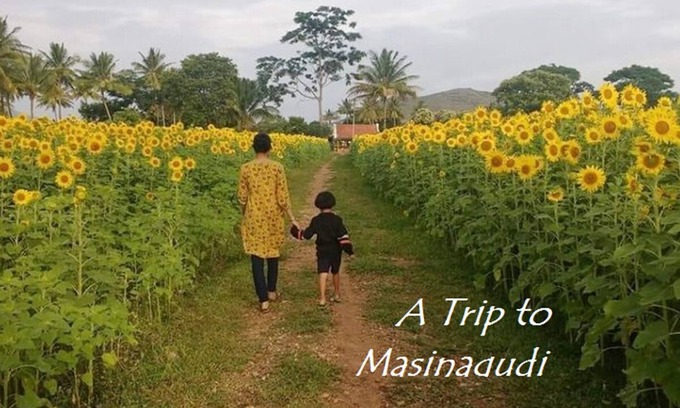 Masinagudi House | Surrounded by Greenery view Home Stay @ masinagudi