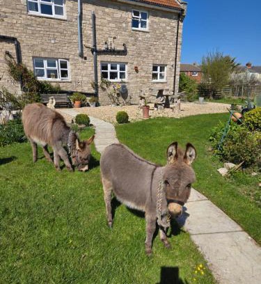 Wyke Regis Bed & Breakfast | Swallows Rest