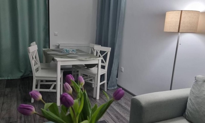 Brasov Apartment | Swan Brasov Apartment