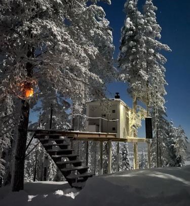 Arvidsjaur Municipality House | Swedish Treehouse