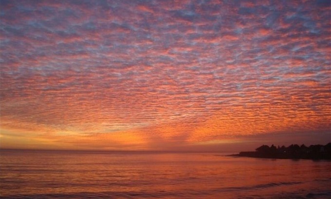 Westside Santa Cruz House | Sweet 1 BDRM Cottage, FAST WIFI, near ocean, W&D, Full kitchen and bath, BBQ!