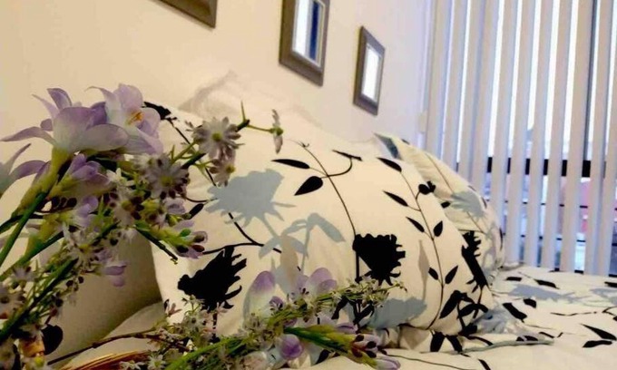Soledad de Graciano Sanchez House | Sweet Home San Luiss