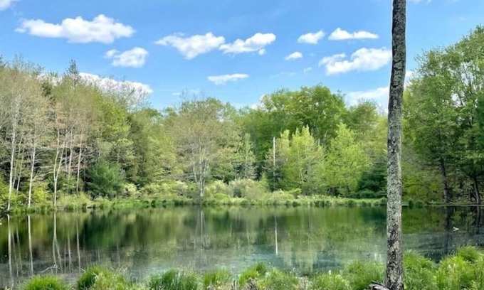 Woodridge House | Sweet Suite Tiny House w/Zen Vibes on Quiet Lake