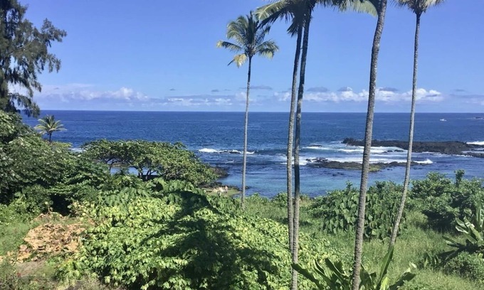 Hilo Condo | Swim with the turtles and watch the whales! S-l-o-w down and R E L A X.