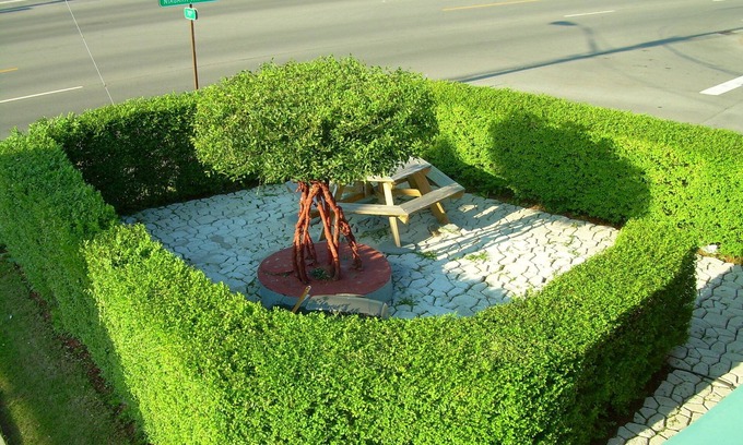 Niagara Falls Hotel | Swiss Cottage Inn