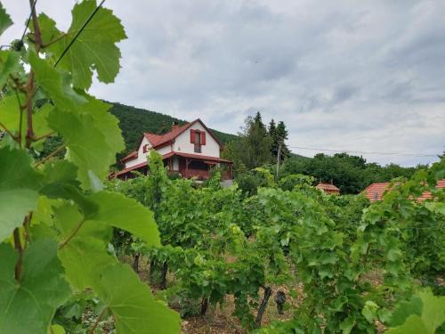 Eger House | Szőlőcskei Vendégház és Pihenő