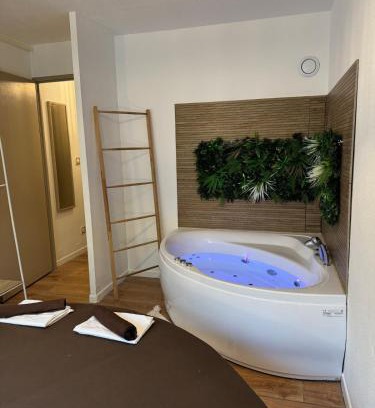 Tournefeuille Apartment | T2, Balneo, sauna, lit rond, jeux arcades, parking