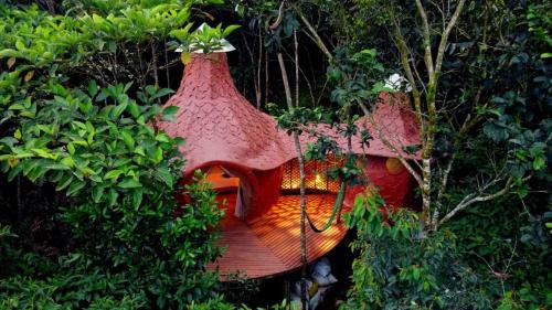 San Carlos Other | Taibará Refugio Natural