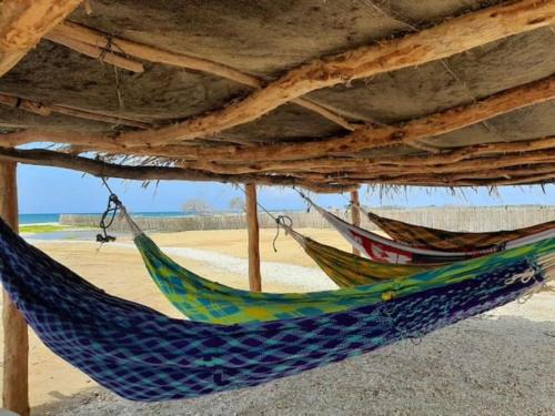 Manaure House | Talata Hostal