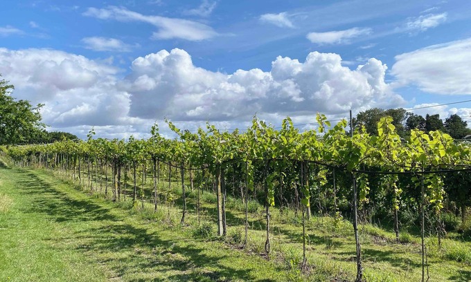 Karrebksminde House | talian charm at VINEYARD near Karrebæksminde