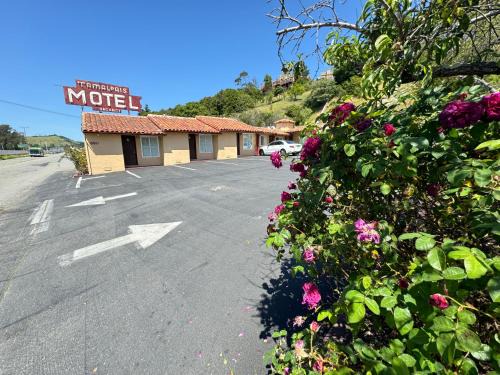 Strawberry Hotel | Tamalpais Motel