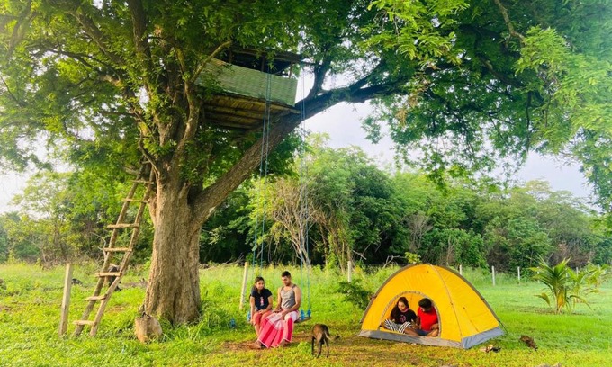 Maho Other | Tamarind Tree Chamber