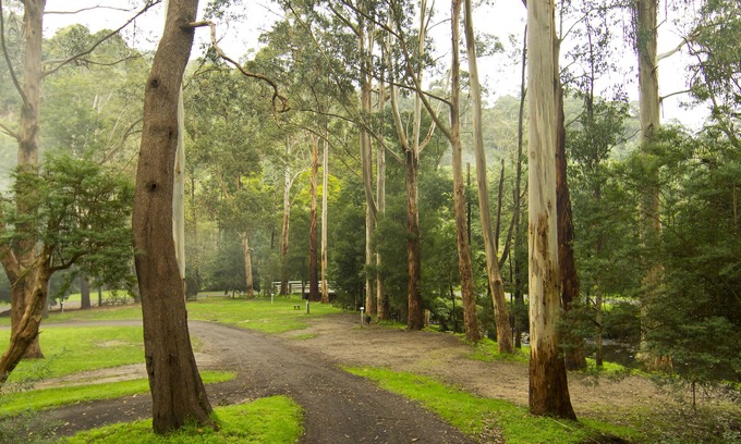 Tarra Valley Cabin | Tarra Valley Retreat