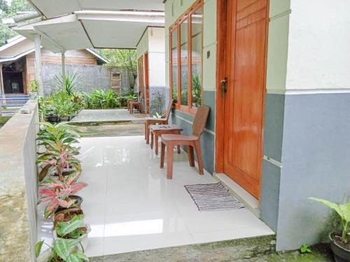 Marinsow House | Tarsius Home Stay
