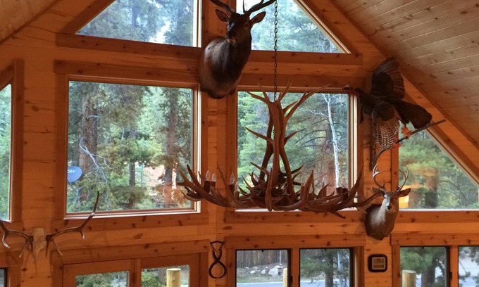 Almont House | Taylor River Trout Fishing /Hiking, Mountain Biking, Fossel Ridge Wilderness
