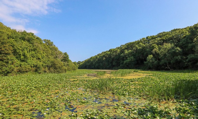 Castlemartin Cottage | TEASEL, pet friendly, character holiday cottage in Pembroke