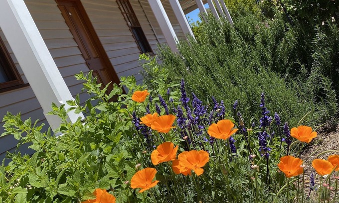 Gulgong House | Telegraph Station