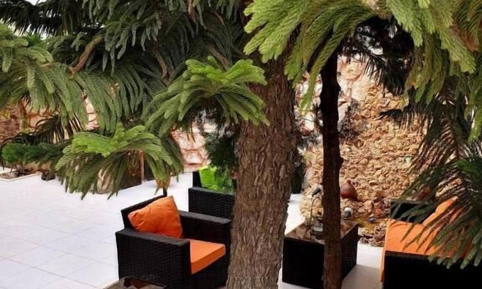 Madaba Bed & Breakfast | Tell Madaba Hotel