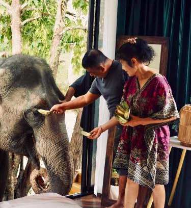 Mae Wang Bed & Breakfast | Temple of Elephants