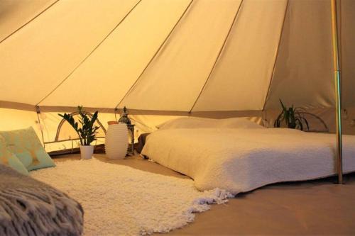 Rakvere Other | Tempus Te Glamping Lääne - Virumaal
