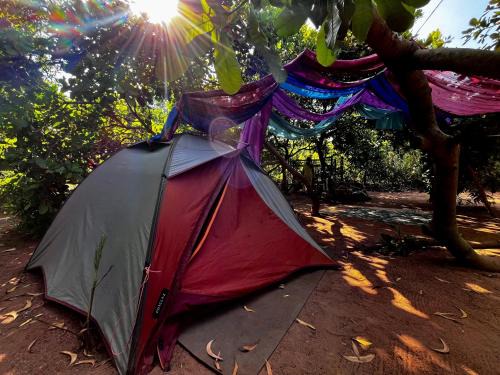 Auroville Other | Tentopia