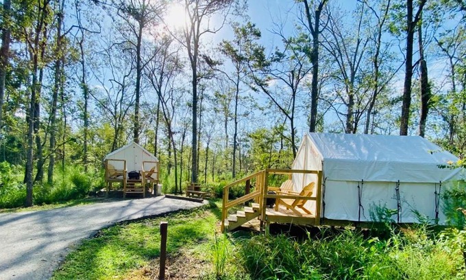 Springfield Other | Tentrr - Louisiana Tickfaw State Park - Woodland D - Double Camp