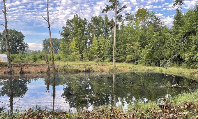 Little Rock RV Rental | Tentrr Signature Site - The Great Southern Jordan Ranch & Family Farms