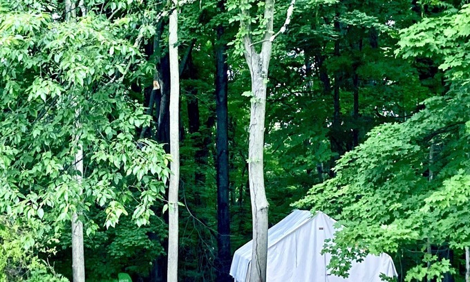 Red Hook RV Rental | Tentrr Signature Site - FRISKY SWARD Upper Forest