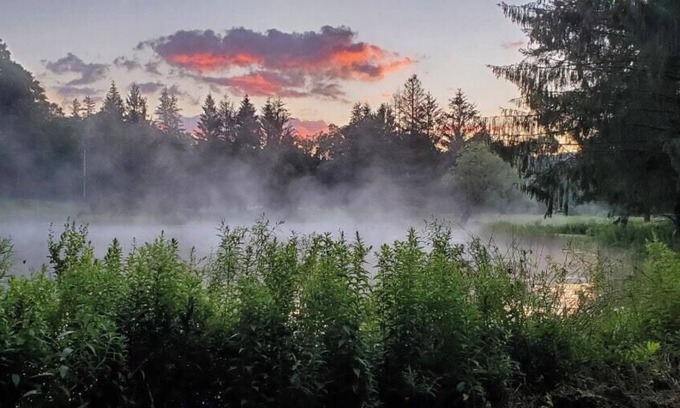 Bovina Center RV Rental | Tentrr Signature Site - Wolf Camp
