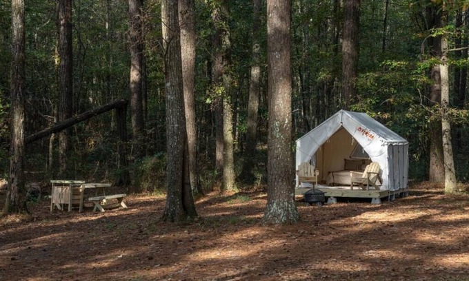 Morton RV Rental | Tentrr State Park Site - Mississippi Roosevelt State Park - Tall Trees D - Sing