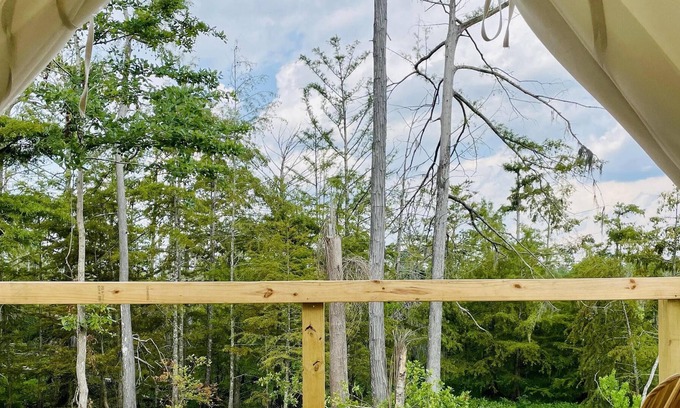 Lake Charles RV Rental | Tentrr State Park Site - Louisiana Sam Houston Jones State Park - Lagoon View C