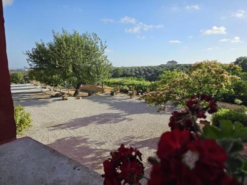 Montecorvino Rovella House | Tenuta degli Ulivi - Dimora Contadina