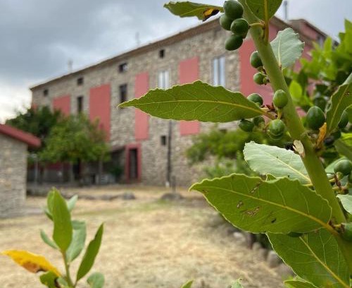 Rossano Bed & Breakfast | Tenuta TerraRossa