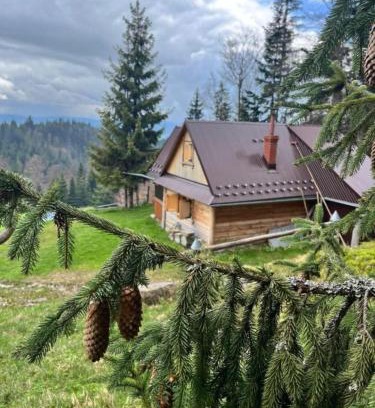 Nowy Targ Ski Chalet | Terenowka Bacowka