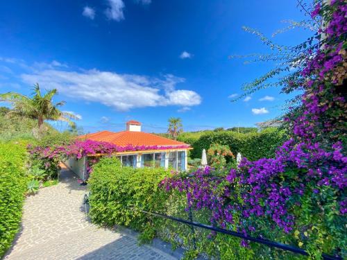 Ribeira Grande House | Terra Vivaz - Ribeira Cottage