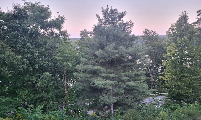 Hammondsport Cabin | Terry Hill Little Lodge, Cozy, Luxury Comfort overlooking beautiful Keuka Lake!