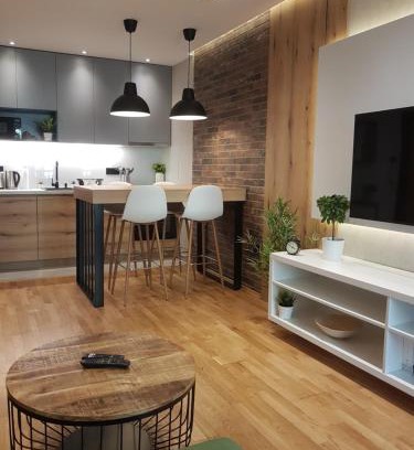 Grbavica Apartment | Tesla 3 Apartment