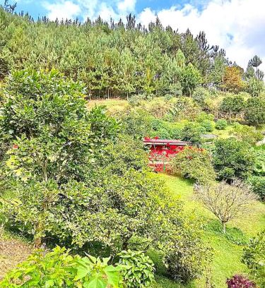 Filandia House | Tesorito House en las Montañas del Quindío