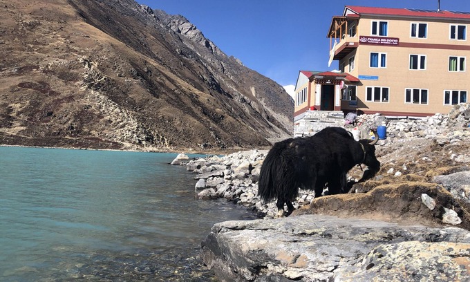 Gokyo Hotel | Thanka Inn Gokyo