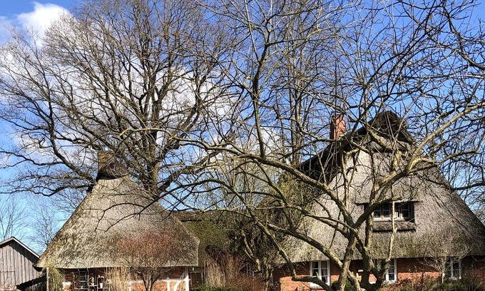 Hechthausen House | Thatched roof house with fireplace heating, barrier-free up to 4-6 persons, garden, barbecue