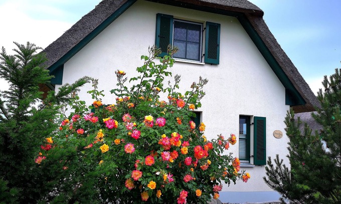 Glowe House | Thatched cottage Vera first row to the Baltic Sea beach wifi sauna fireplace washing machine