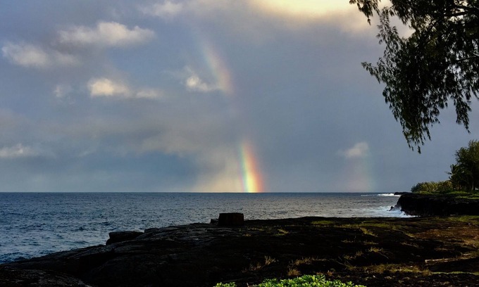 Keaau House | The Aloha Suite (Spacious one bedroom Suite)
