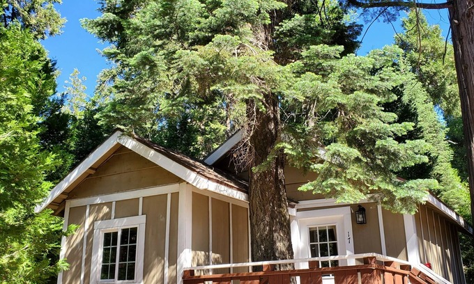 Twin Peaks Cabin | The Alpine Getaway at The Twin Peaks Lodge