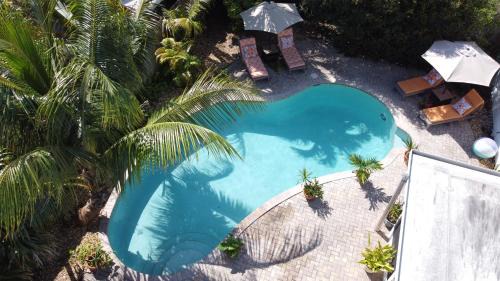 North Andrews Gardens House | The Ave House- Private Oasis Retreat W/heated Pool