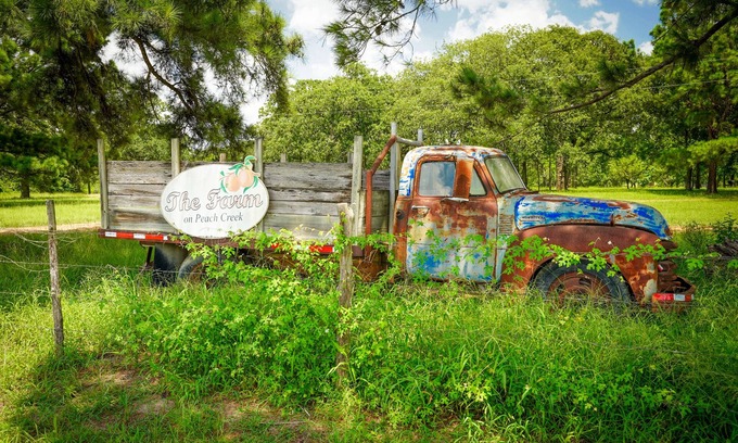 Jeddo Other | The Baugh Farm-Country Living near ATX