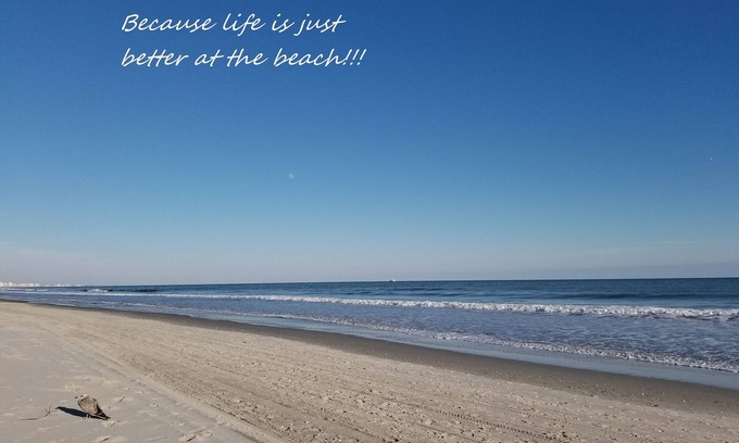 Arcadian Shores House | The Beach is my Happy Place - Is it yours?